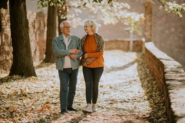 Красивая Пожилая Пара Гуляющая Осеннем Парке — стоковое фото