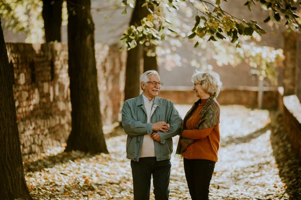 Красивая Пожилая Пара Гуляющая Осеннем Парке — стоковое фото
