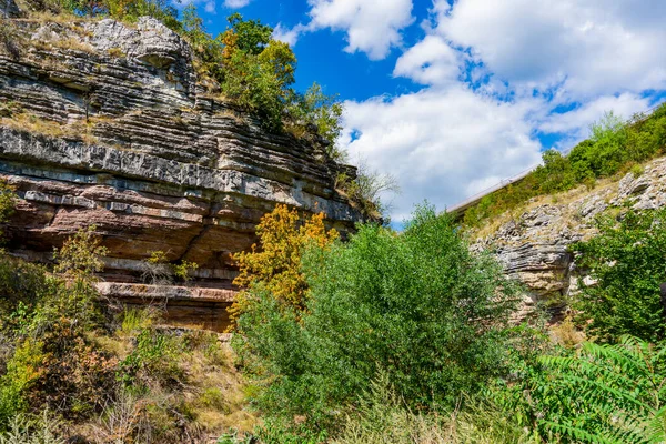 Vista Sulla Gola Del Fiume Boljetin Nella Serbia Orientale — Foto Stock