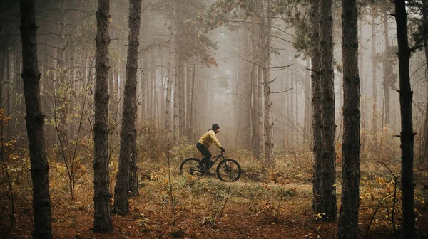 秋の森を自転車で駆け抜けるハンサムな若い男 — ストック写真