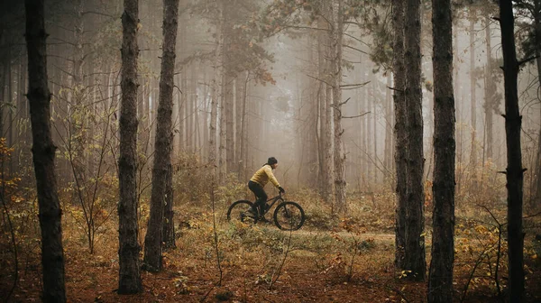 Guapo Joven Ciclismo Través Del Bosque Otoño —  Fotos de Stock