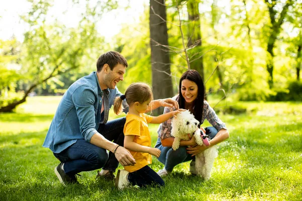 Hermosa Familia Feliz Divierte Con Perro Bichon Aire Libre Parque — Foto de Stock