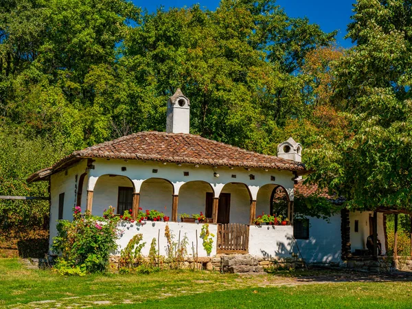 Sırbistan Lepenski Vir Kentindeki Geleneksel Yüzyıl Sırp Evine Bak — Stok fotoğraf