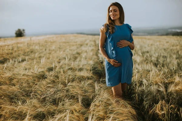 Молодая Беременная Женщина Синем Платье Летнем Поле — стоковое фото