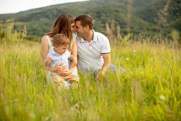 Genç Bir Aile Yaz Tarlasında Eğleniyor — Stok fotoğraf