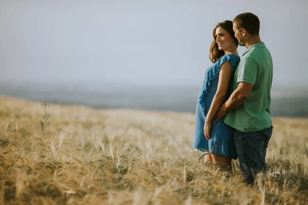 Jeune Mari Femme Enceinte Dans Champ Été Ensoleillé — Photo