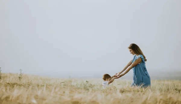Young Pregnant Mother Her Cute Little Boy Field Beautiful Summer — Stock Photo, Image