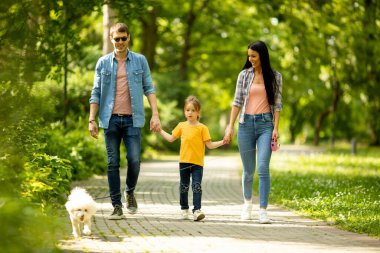 Parkta şirin bir bizon köpeği olan mutlu genç bir aile.