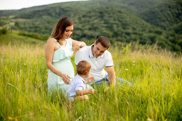 夏の野外で楽しんでいる若い家族 — ストック写真