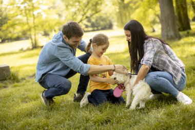 Parkta şirin bir bizon köpeği olan mutlu genç bir aile.