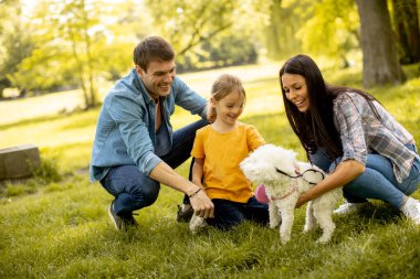 Parkta şirin bir bizon köpeği olan mutlu genç bir aile.