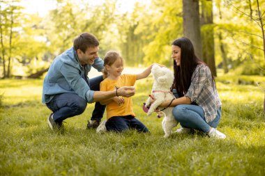 Parkta şirin bir bizon köpeği olan mutlu genç bir aile.