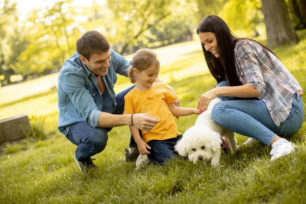 Happy Young Family Cute Bichon Dog Park — Stock Photo, Image