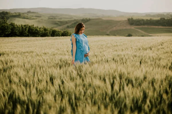 Yaz Tarlasında Mavi Elbiseli Hamile Bir Kadın — Stok fotoğraf