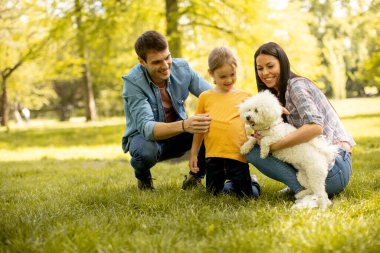 Parkta şirin bir bizon köpeği olan mutlu genç bir aile.