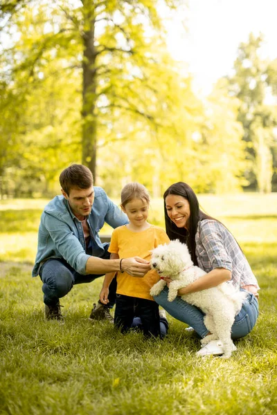 Happy Young Family Cute Bichon Dog Park — Stock Photo, Image