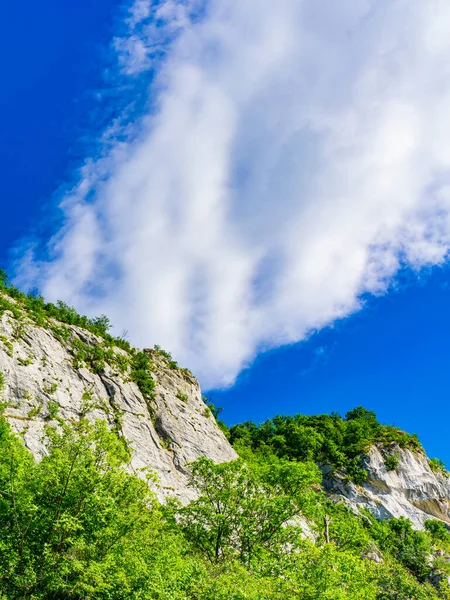 Utsikt Över Donau Ravinen Vid Djerdap Serbien — Stockfoto