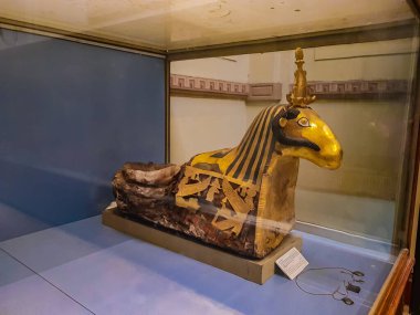 Kahire, Mısır - 17 Aralık 2021 Kahire 'deki Mısır Müzesi' nden mumyalanmış bir koç için altın yapraklı çanta. 1902 'de kurulmuş ve 120.000' den fazla antik Mısır eşyası var..