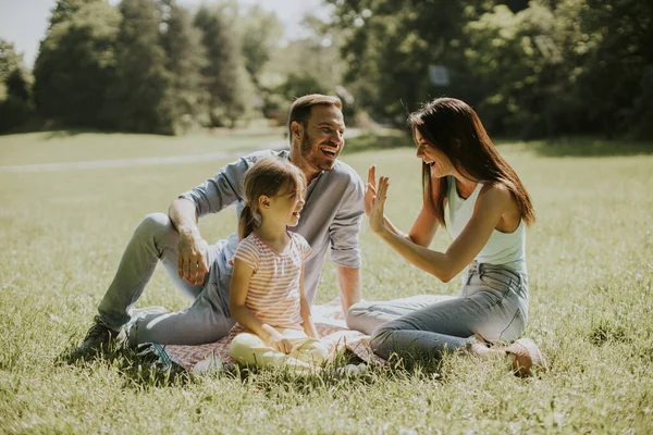 Küçük tatlı kızıyla mutlu bir aile güneşli bir günde parkta eğleniyor.