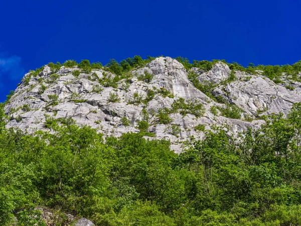 Vue Sur Gorge Danube Djerdap Serbie — Photo