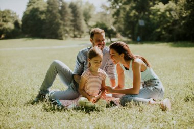 Küçük tatlı kızıyla mutlu bir aile güneşli bir günde parkta eğleniyor.