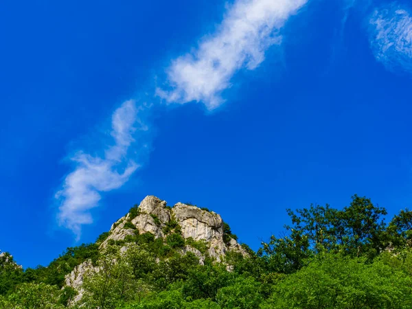 View Danube Gorge Djerdap Serbia — Stock Photo, Image