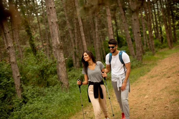 Enkele Jonge Wandelaars Met Rugzakken Lopen Door Het Bos — Stockfoto