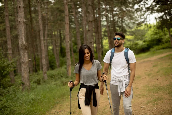 Couple Young Hikers Backpacks Walk Forest — Stock Photo, Image