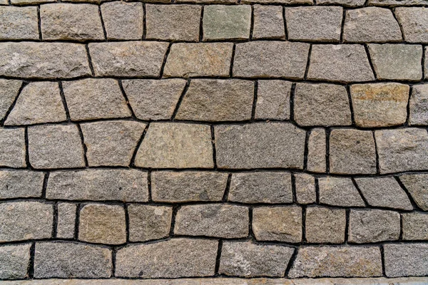 Closeup Detail Stone Wall Backdrop — 스톡 사진