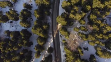 Bir yolu olan karlı dağ ormanının havadan görünüşü
