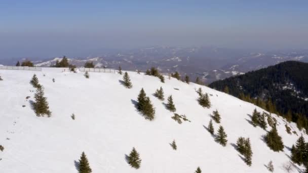 Veduta Aerea Della Montagna Kopaonik Serbia Durante Inverno — Video Stock