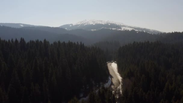 Luchtfoto Van Besneeuwd Bergbos Met Een Weg — Stockvideo