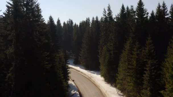 Luftaufnahme Des Verschneiten Bergwaldes Mit Einer Straße — Stockvideo