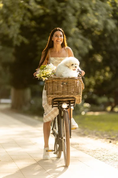 Ładna Młoda Kobieta Białym Bichon Frise Dog Koszu Rower Elektryczny — Zdjęcie stockowe