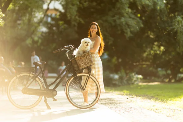 Ładna Młoda Kobieta Białym Bichon Frise Dog Koszu Rower Elektryczny — Zdjęcie stockowe