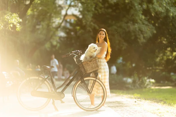 Mulher Bonita Com Bichon Branco Frise Cão Cesta Bicicleta Elétrica — Fotografia de Stock