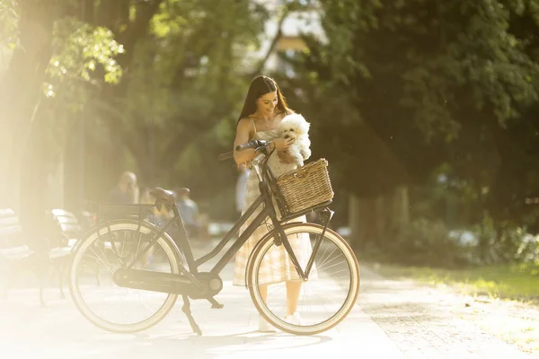 Mujer Joven Bonita Con Perro Blanco Bichon Frise Cesta Bicicleta — Foto de Stock