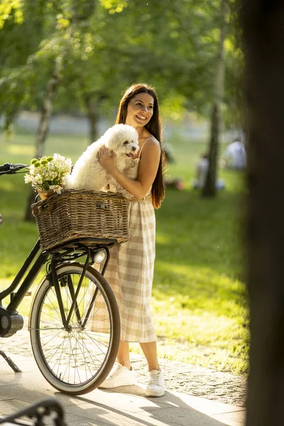 Ładna Młoda Kobieta Białym Bichon Frise Dog Koszu Rower Elektryczny — Zdjęcie stockowe