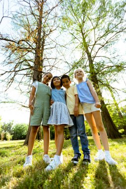 Bir grup yakışıklı Asyalı ve beyaz çocuk parkta eğleniyor.