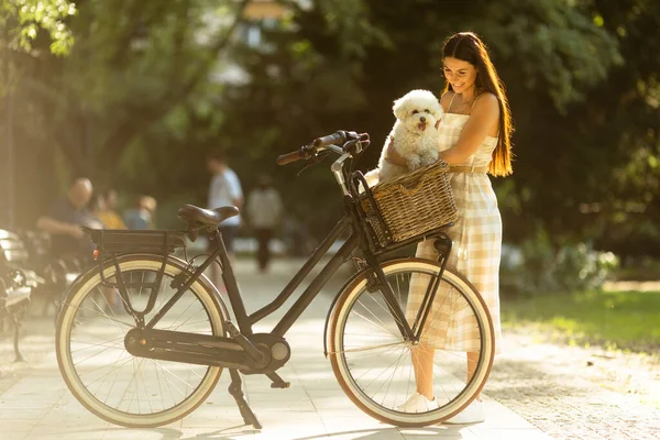 Mulher Bonita Com Bichon Branco Frise Cão Cesta Bicicleta Elétrica — Fotografia de Stock