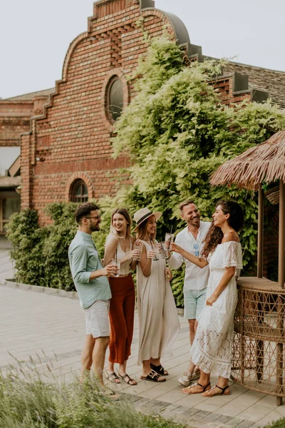 Group Happy Young People Cheering Having Fun Outdoors Drinks — 图库照片