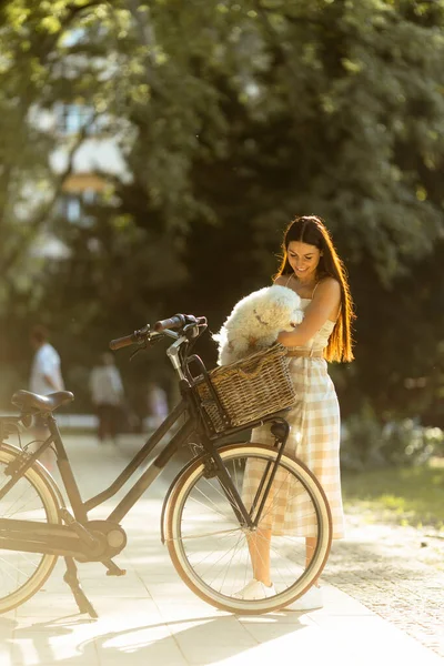 一个年轻漂亮的女人 她在电动车的篮子里抱着一只白大灰狗 — 图库照片