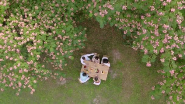 Vedere Aeriană Grup Tineri Fericiți Care Aplaudă Limonadă Proaspătă Mănâncă — Videoclip de stoc