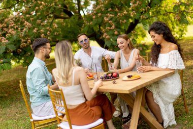 Group of young people cheering with fresh lemonade and eating fruits in the garden