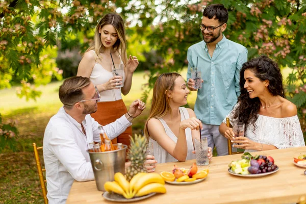 Group Young People Cheering Fresh Lemonade Eating Fruits Garden — Photo