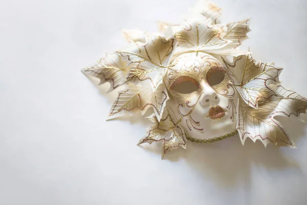 Venetian Carnival Mask White Background — Stock fotografie