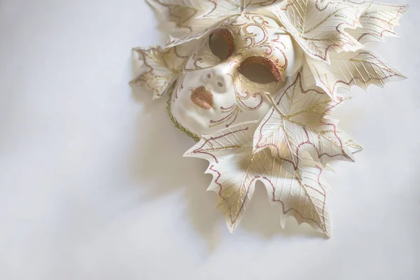 Venetian Carnival Mask White Background — Stock Photo, Image