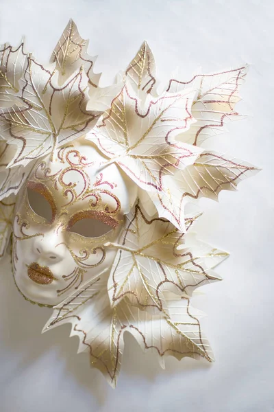 Venetian Carnival Mask White Background — Photo