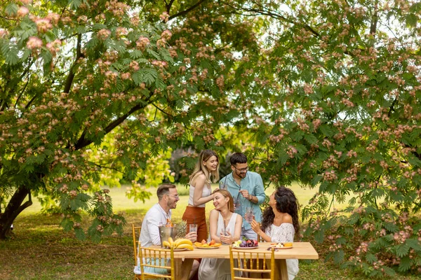 Group Young People Cheering Fresh Lemonade Eating Fruits Garden — 图库照片