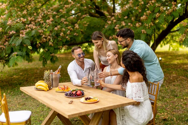 Group Young People Cheering Fresh Lemonade Eating Fruits Garden — Stockfoto